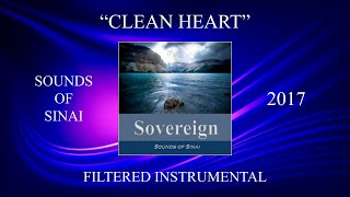 Sounds Of Sinai  Clean Heart Filtered Instrumental [upl. by Nicki]