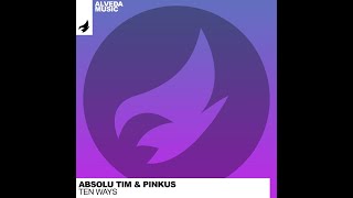 Absolu Tim ft Pinkus  Ten ways [upl. by Eolande]