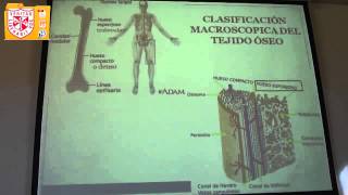 Histología  Tejido Cartilaginoso y Oseo [upl. by Nivlac858]