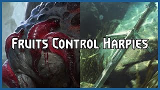 Fruits Control Harpies  Gwent Pro Rank Gameplay [upl. by Gilbye]