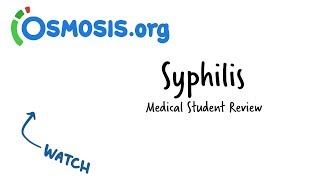 Syphilis  Clinical Presentation [upl. by Anaehs]