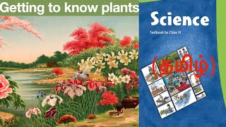 NCERT Science Class 6 தமிழ்  Chapter 7  Getting to know plants  BookScribe [upl. by Ishmul326]