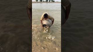 save life of fish’s from market fish fishfarmer fishinglife [upl. by Narrad820]