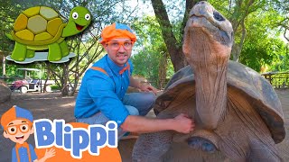 Blippi Visits a Zoo And Learns About Animals  Educational Videos for Kids [upl. by Eener833]