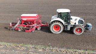 CLAAS AXION 830 mit eine HORSCH Pronto 3 DC Drille  Roggen drillen  4K [upl. by Shira222]