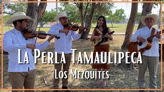 Los Mezquites  La Perla Tamaulipeca [upl. by Vaules12]