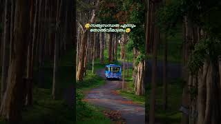 🥹🥹സ്നേഹം youtubeshorts plzsubscribemychannel 🥹🥹 [upl. by Pettifer875]