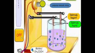 Larutan Elektrolit [upl. by Ahsian]