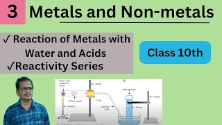 Metals and Nonmetals  Reaction of Metals with Water and Acids  Class 10 new syllabus [upl. by Lamoureux]