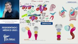 Neurología  Ciencias Básicas [upl. by Del]