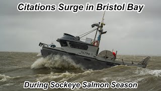 Citations Surge During Bristol Bay Sockeye Season 2024 [upl. by Hope]