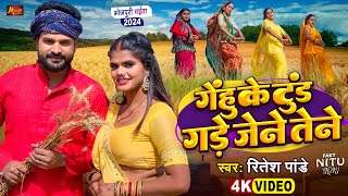 ViralVideo  चईता  गेंहू के टुंड गड़े जेने तेने  Ritesh Pandey  Gade Jene Tene  Bhojpuri Song [upl. by Yrahca]