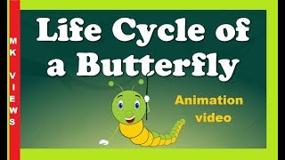 Life Cycle of a Butterfly  animation video for kids [upl. by Ytissac]