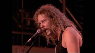 Metallica  Harvester Of Sorrow  Live in Moscow 1991 HD Remastered [upl. by Eloisa]