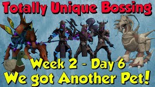 Week 2 Day 6  Second Pet Down Runescape 3 Totally Unique Bossing 13 [upl. by Davita813]