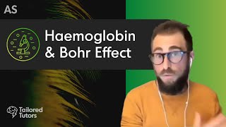 Haemoglobin amp Bohr Effect  A Level Biology Revision  AQA [upl. by Arun]