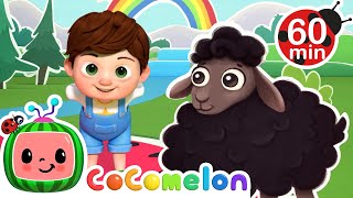 Baa Baa Black Sheep  More CoComelon Nursery Rhymes amp Kids Songs  Dance Party Mix [upl. by Carpenter761]