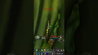 ⚡️2v3 VS BiS MageS  Shadow priest World PvP worldofwarcraft wowclassic classicwow gaming pvp [upl. by Aiuqal]