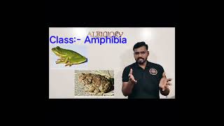 Class Amphibia  Animal classification  Viral Short  Avinash sir [upl. by Stevy]