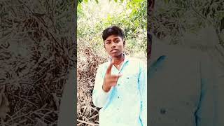 Hindustanibahutkhubsurat hua Karta thayah dinAadharCard bangayashortcomedyvideo 2025 [upl. by Dave]