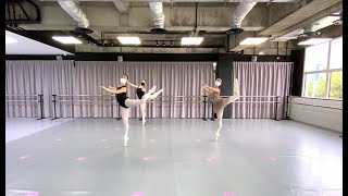 Barreworks Dance Exposure Series 4  Le Corsaire Variation with Ms Rosa Park [upl. by Ennybor478]