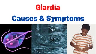 Giardiasis Fatty Stool SymptomsCauses Treatment Summary What is Giardia Giardia lamblia [upl. by Kleon]