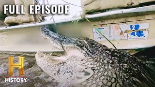 Swamp People Crazy Cannibal Gator S11 E11  Full Episode [upl. by Borer553]