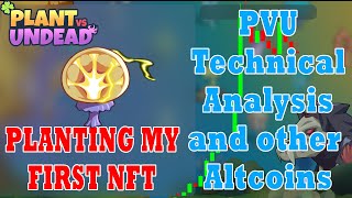 Plant vs Undead How to plant your NFT  How to check seed  TA and other Altcoins Tagalog [upl. by Giwdul]