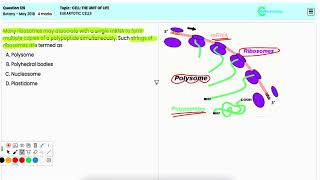 NEET Botany 2018 May Q126 Learn About Eukaryotic Cells—Organelles and Their Functions [upl. by Ailssa630]