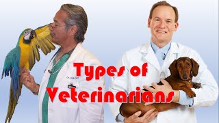 Types of Veterinarians 6 different types of Veterinarians [upl. by Audly319]