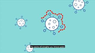 COVID19 vaccines – How vaccines work [upl. by Oiredised]