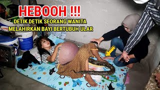 🔴 VIRAL  WANITA MELAHIRKAN BAYI BERTUBUH ULAR HEBOOHKAN WARGA KAMPUNG [upl. by Adnotal887]