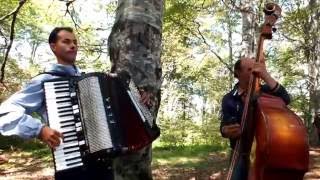 Sopski cacak Galic harmonika Bora basselo RadosinTumba 2016 [upl. by Walters906]