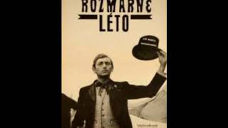 Rozmarné léto  Vladislav Vančura [upl. by Aleakam795]