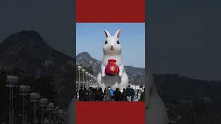 What is The Year Of The Rabbit Chinese New Year shorts [upl. by Vaules]