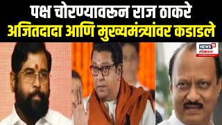 Raj Thackeray On CM Shinde  पक्ष चोरण्यावरून राज ठाकरे अजितदादा आणि मुख्यमंत्र्यांवर कडाडले N19V [upl. by Arrej]