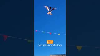 XFly by Bionic Bird ornithopter drone [upl. by Droffig]