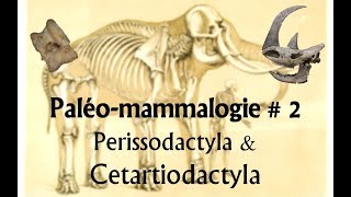 Paléomammalogie 2 Perissodactyla et Cetartiodactyla [upl. by Analed]