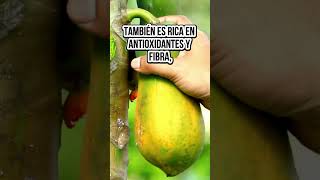 Los increíbles beneficios de la papaya que no conocías bienestar alimentossanos [upl. by Adhern959]