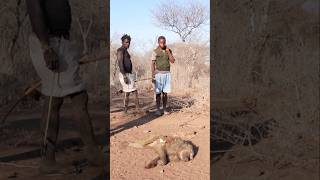 Baboons Huntafricantribe animals nature shorts [upl. by Oliver]