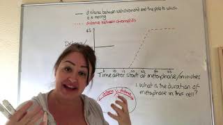 interpreting graphs on mitosis [upl. by Llednov]