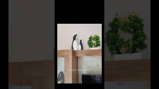 Amazing DIY Plaster of Paris Crafts 🐧You Can Make Todayquot diy craftyideas art ytshorts shorts [upl. by Soracco]