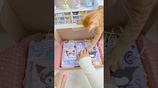 Kuromi 📦😼 sanrio kuromi cinnamoroll mymelody japan hellokitty cute shorts fyp asmr [upl. by Zacherie139]