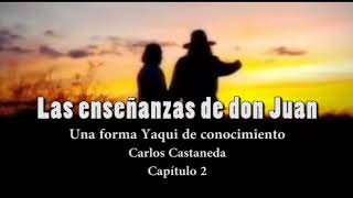 Las enseñanzas de don Juan Capítulo 2 C Castaneda Voz humana [upl. by Katharina791]