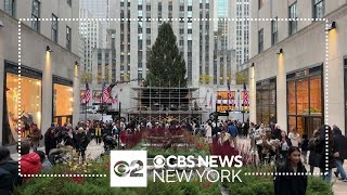 2023 Rockefeller Center Christmas tree arrives in NYC [upl. by Anatnom421]