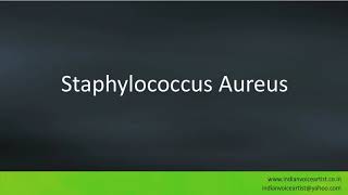 Pronunciation of the words quotStaphylococcus Aureusquot [upl. by Rashidi303]