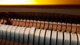 Fixing the bobbling hammer in an upright piano can be a DIY task if you are patient and careful [upl. by Radke]