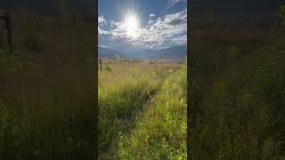 Okanagan BC Hiking Views shorts [upl. by Dania852]