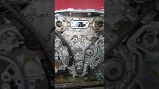 Nissan Maxima 2010 Timing Chain [upl. by Wadesworth]