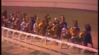 1985 Max Harvey Auckland Cup  Alexandra Park Auckland Part 2 of 2 Roydon Glen [upl. by Daigle]